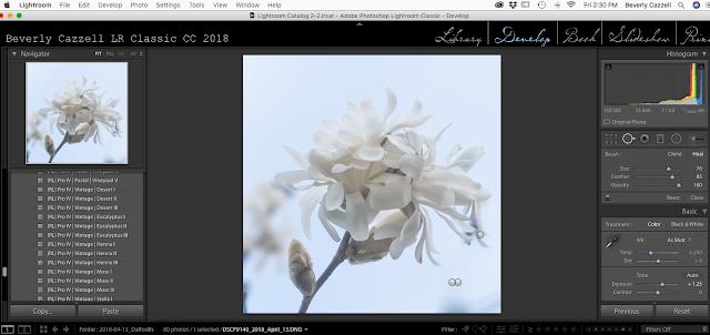Best Photo Editing Process Tutorial