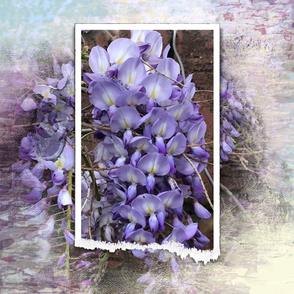 5 Step Artsy Layout Tutorial 5 Step Artsy Layout Tutorial