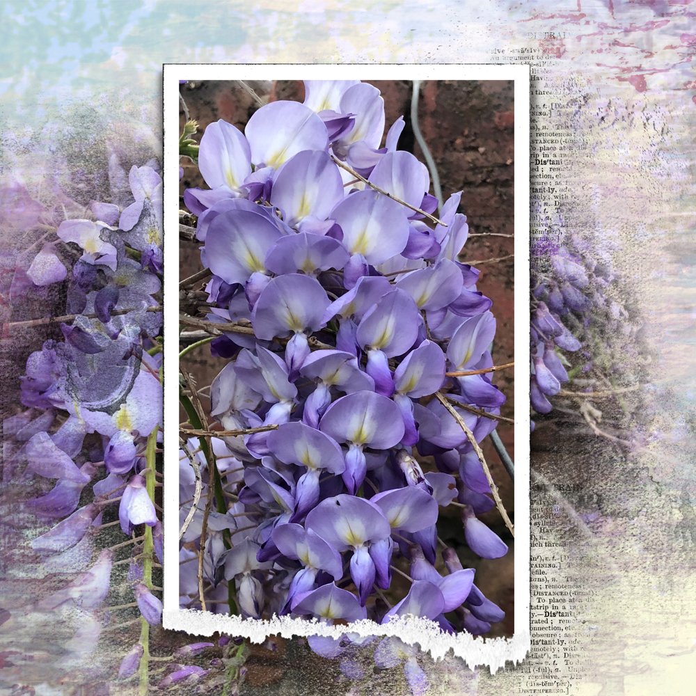 5 Step Artsy Layout Tutorial 5 Step Artsy Layout Tutorial