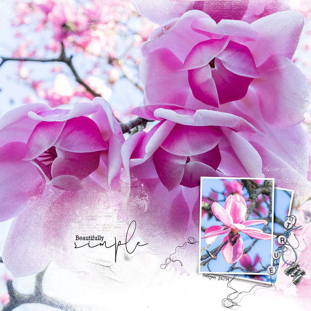 10 Ways to Use Scenic Templates 10 Ways to Use Scenic Templates