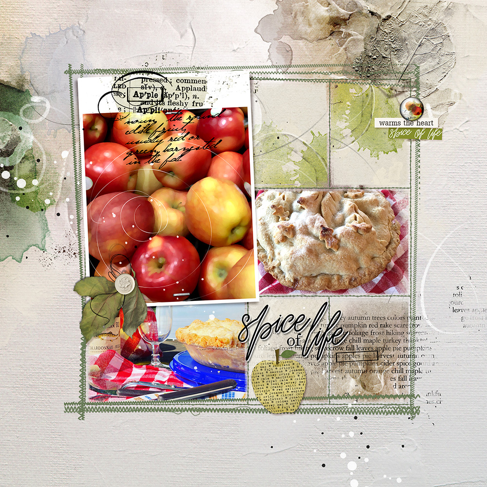 15 Ways to Use Stitched Template Albums 15 Ways to Use Stitched Template Albums
