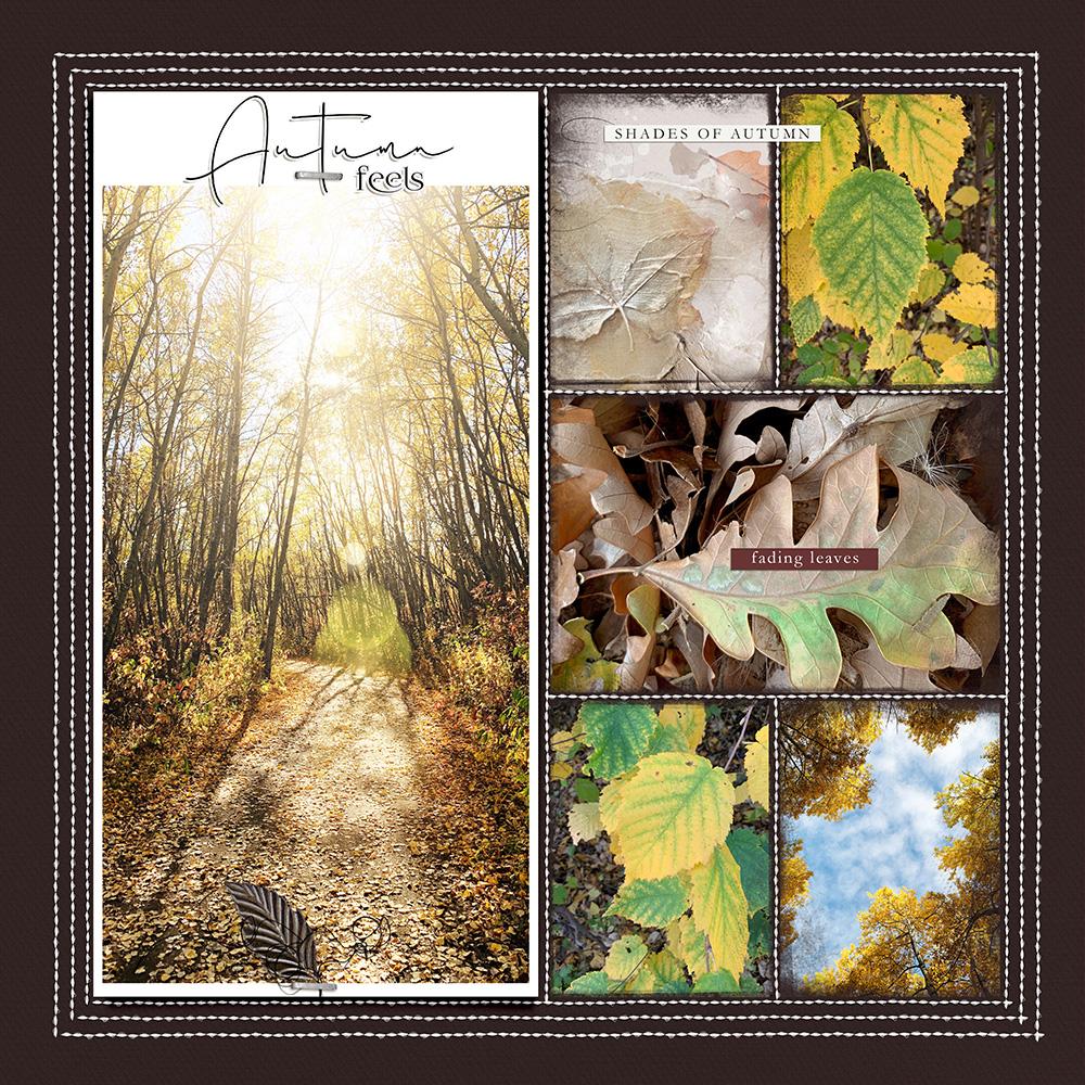 15 Ways to Use Stitched Template Albums 15 Ways to Use Stitched Template Albums