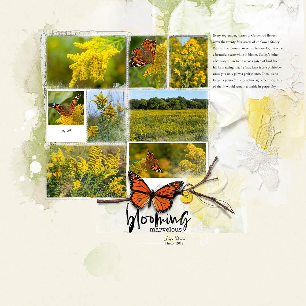 15 Ways to Use Stitched Template Albums 15 Ways to Use Stitched Template Albums