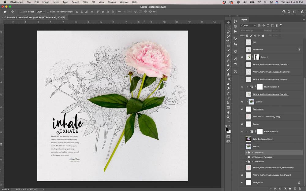 sketch coloring ArtsyTransfers — flower photo converted to Photocopy sketch with Linear Burn blending mode