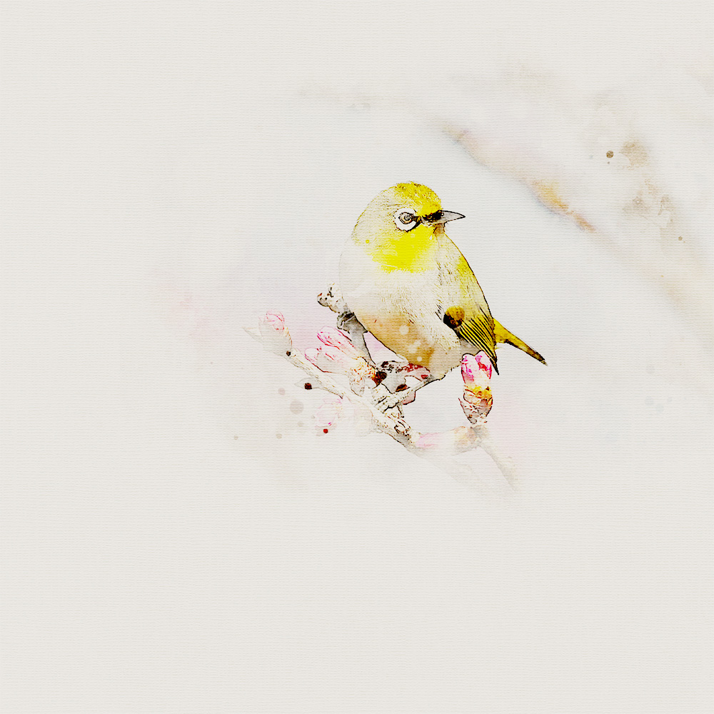 Artsy Sketch Effect Using Filter Gallery photo sketch effect Photoshop