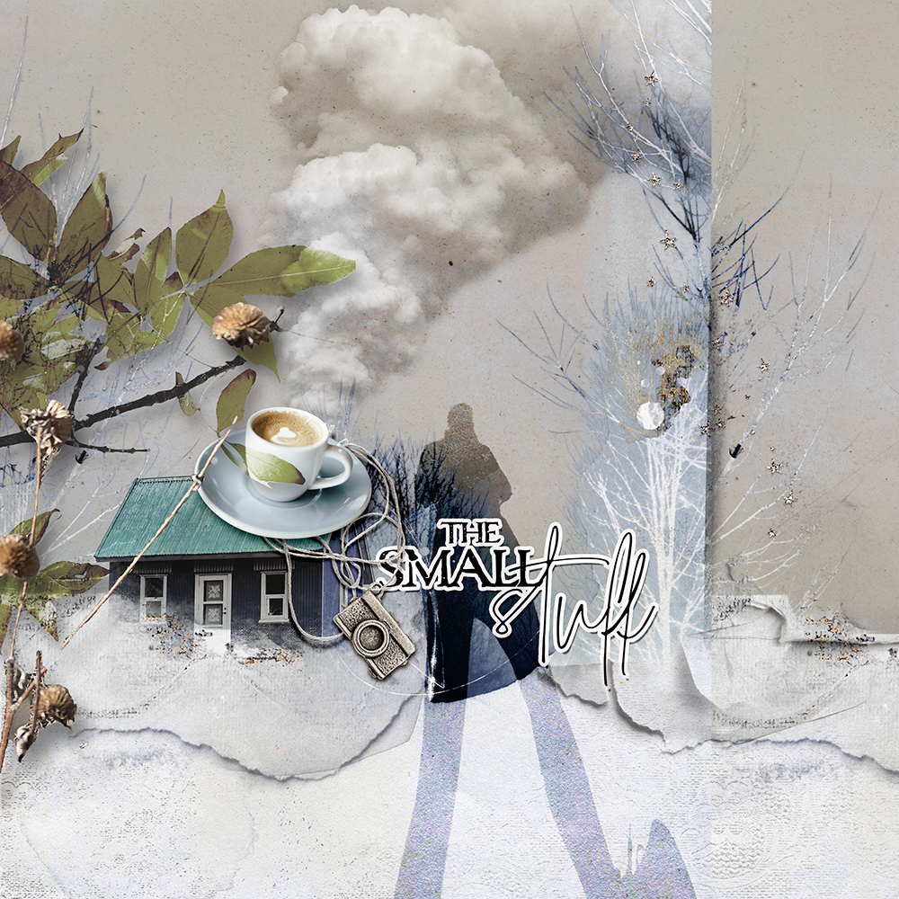 Selections, Masking and Extractions Part 1 Class Digital Scrapbook Layout by Anna Aspnes Designs