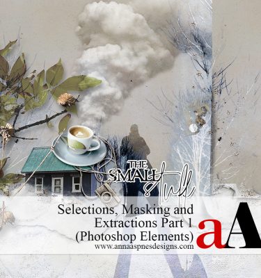 Photo Extractions Photoshop Elements: Selections and Masking (1)