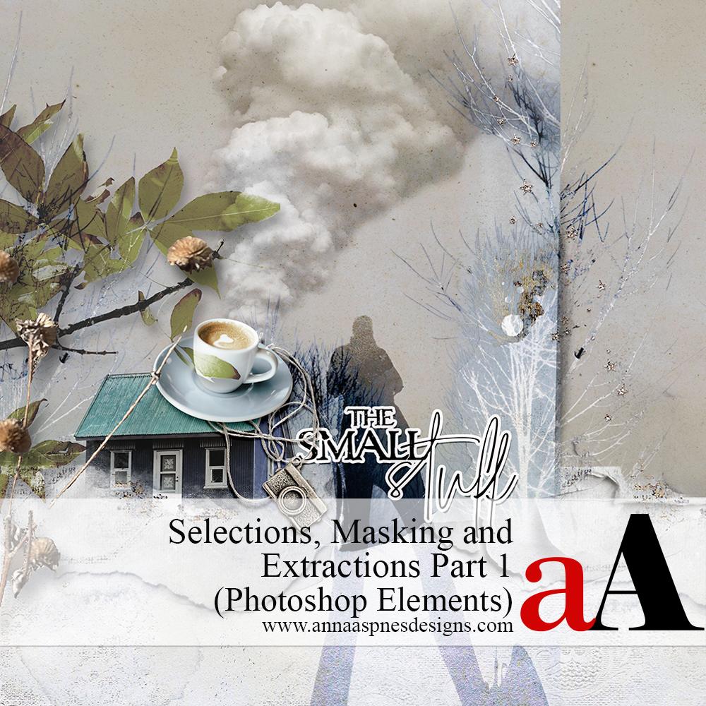 Photo Extractions Photoshop Elements: Selections and Masking (1)