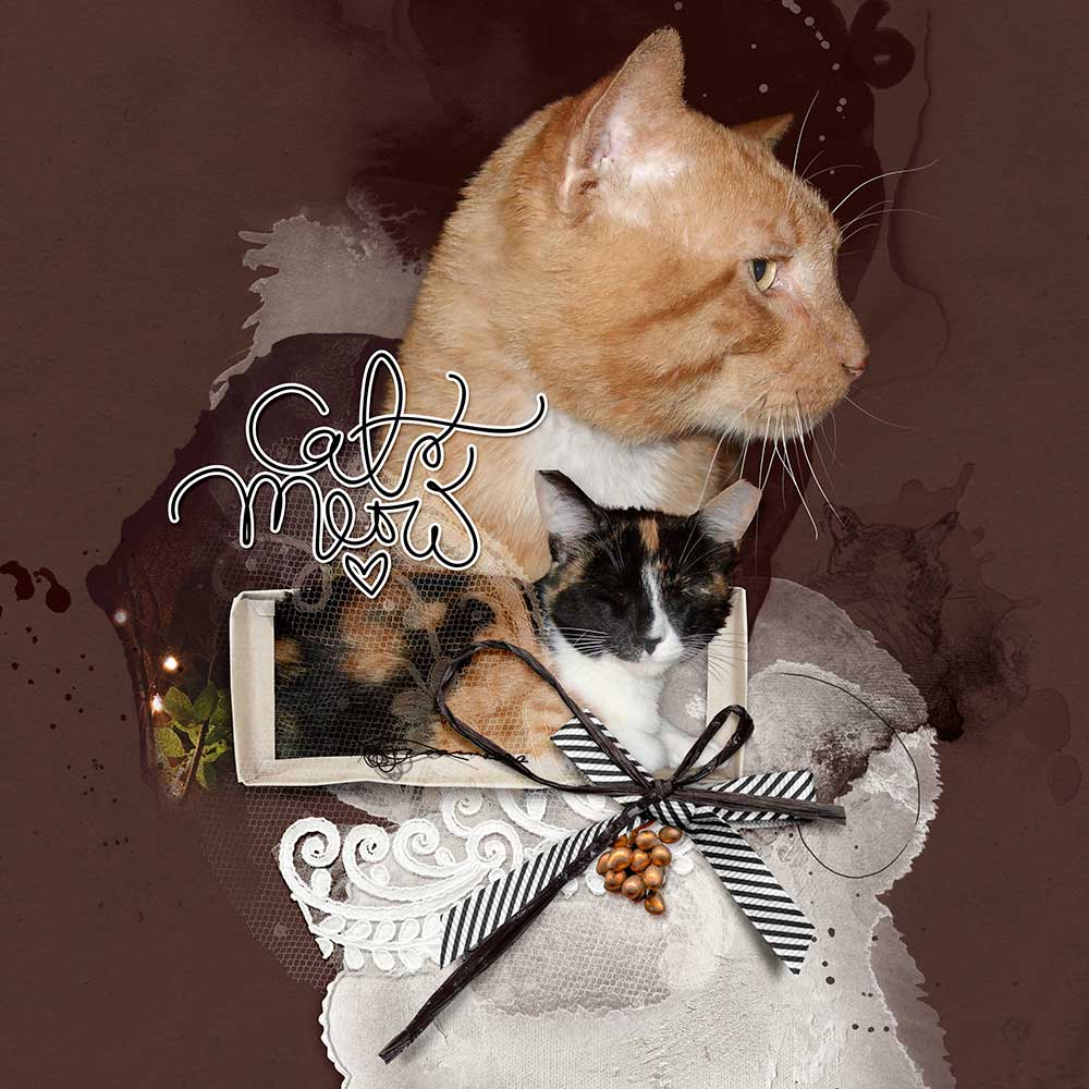 Photo Extractions Photoshop Elements