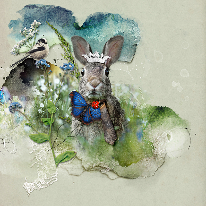 Photo Extractions Photoshop