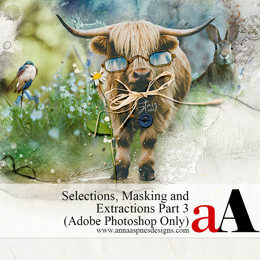 Photo Extractions Photoshop: Selections and Masking (3)
