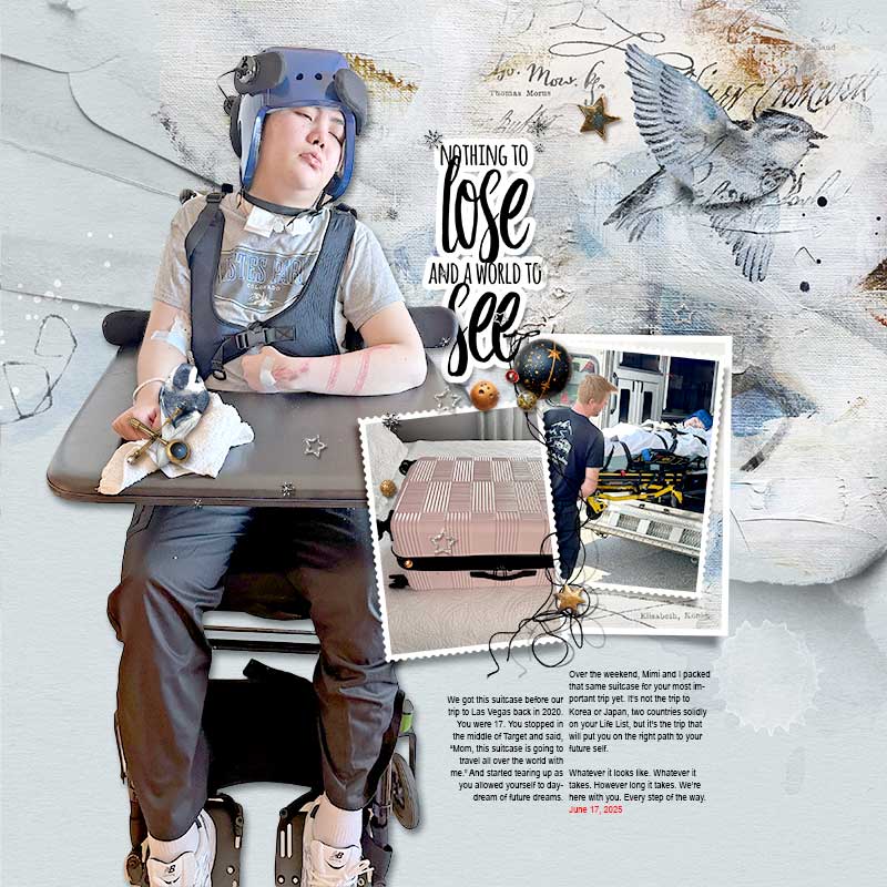 Value Digital Scrapbooking Bundle Value digital scrapbooking bundle — Create for Carissa charity collection by Anna Aspnes Designs